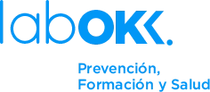 Logotipo de Autoescuela San Nicolás - Labok